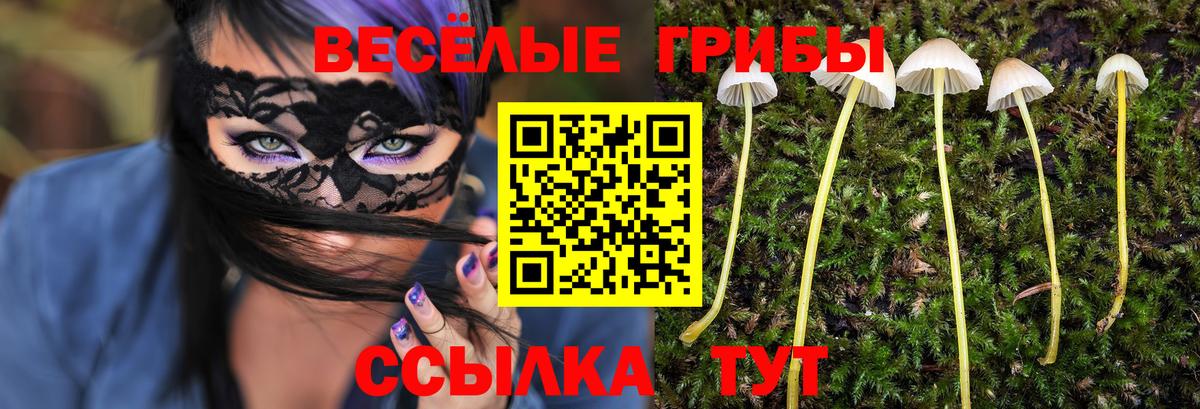 Псилоцибиновые грибы ЛСД  Вход с VPN  продажа наркотиков  Луховицы 